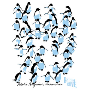 Adelie Penguins Antarctica - Mug Design