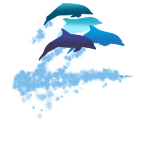 Dolphins New Zealand - Mens Block T shirt Design