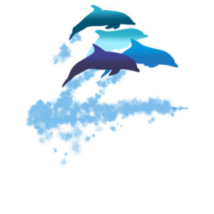 Dolphins New Zealand - Mini-Me One-Piece Design
