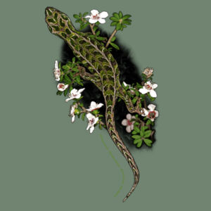 Harlequin gecko t-shirt - Womens Maple Tee Design