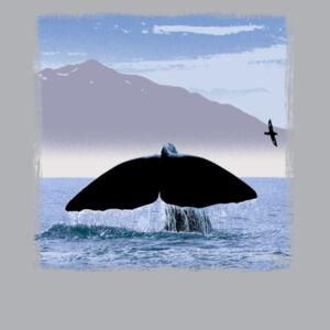 Whale tail Kaikoura - Kids Longsleeve Tee Design