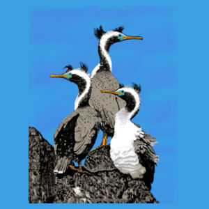 Spotted Shags Banks Peninsula - Infant Tee Design