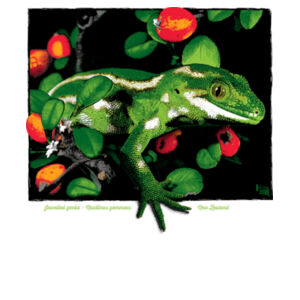 Jewelled gecko Banks Peninsula - Womens Curve Longsleeve Tee Design