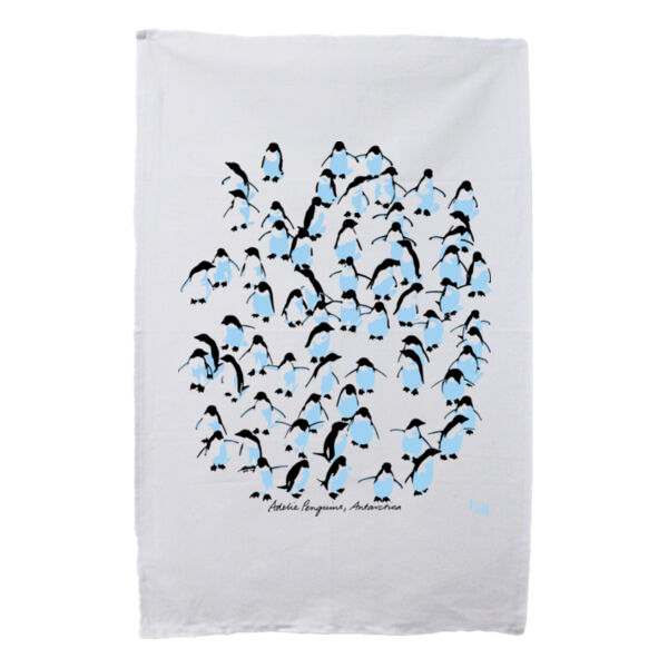 Adelie penguins, Antarctica, coming… - Tea Towel Thumbnail