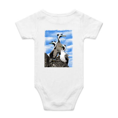 Spotted Shags - Parekareka, Banks Peninsula, New Zealand Thumbnail