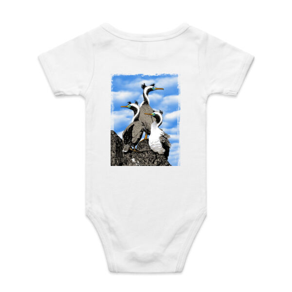 Spotted Shags - Parekareka, Banks Peninsula, New Zealand Thumbnail