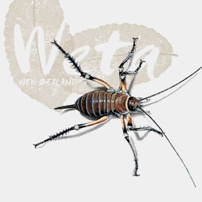 Placement print adult t shirt BLUFF WETA front 1651 Thumbnail