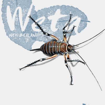 Placement print TODDLER t shirt BLUFF WETA front Thumbnail