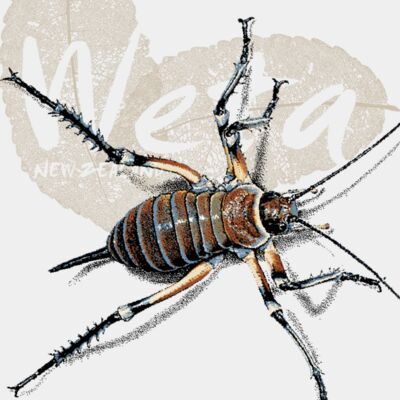 Weta MUG front Thumbnail