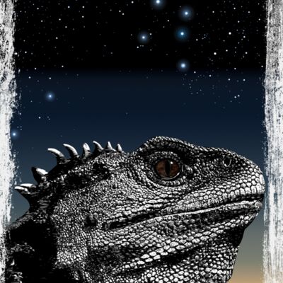 Tuatara adults tee multi 500ppi back grunge Thumbnail