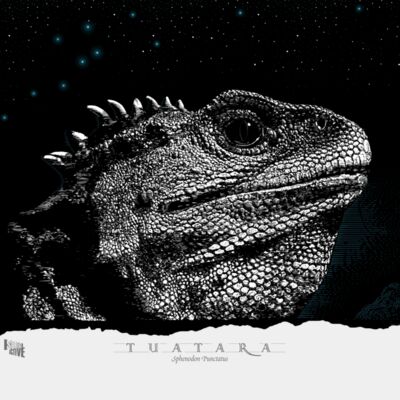 Tuatara ADULTS tee 300ppi front torn paper DIGITEES Thumbnail