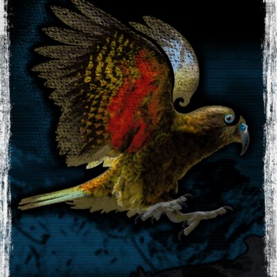 Kea   300lpi KIDS back print DIGITEES Thumbnail