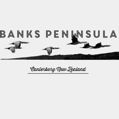 shags in flight pocket horiz 300ppi greysc DIGITEES SQ CROP Thumbnail