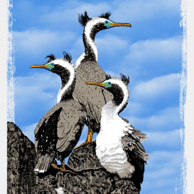 Spotted shags multicol plcmnt back 216ppi DIGITEES Thumbnail