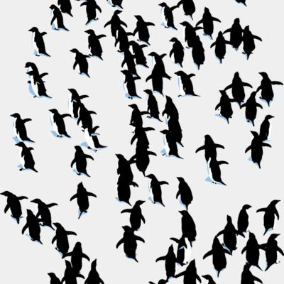 Adelie Penguins reversal KIDS BACK 25X30cm 300ppi for DIGITEES Thumbnail